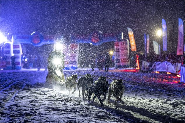 Musher au départ de l'étape d'Aussois - Kciop