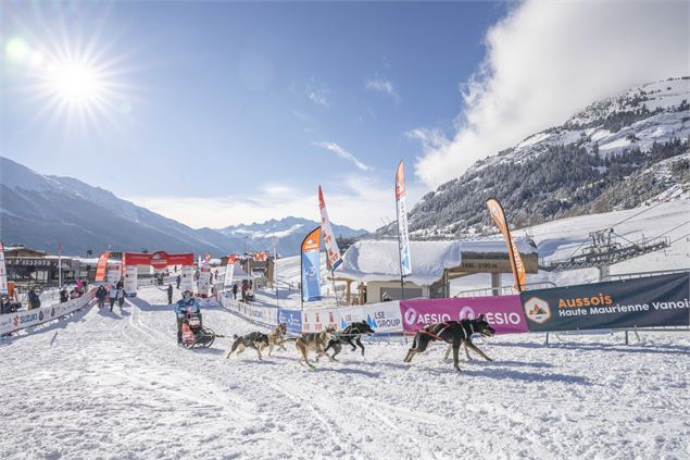 Musher au départ de l'étape Aussois de la Grande Odyssée - Kciop