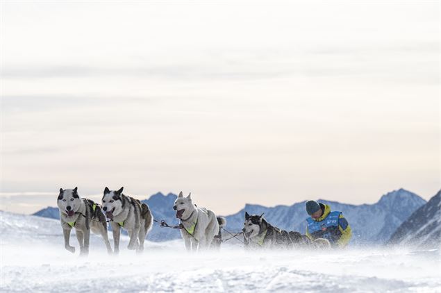 Un attelage de huskys en course - Kciop