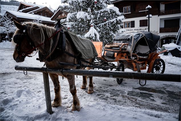 Visite guidée du village