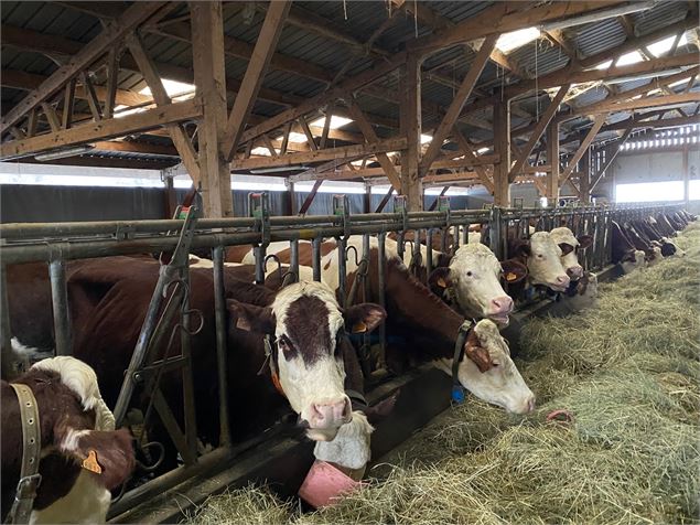 Visite à la ferme - GAEC de la Cluse - Fondation FACIM
