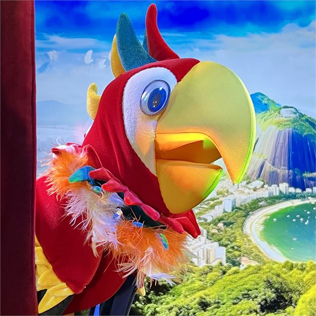 Guignol et Rio le majestueux perroquet - Rr