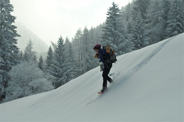 Femme en randonnée raquettes - Agence Zoom
