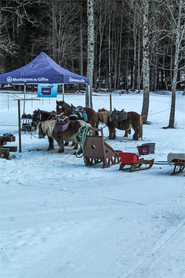 Les Hivernales du Haut-Giffre_Sixt-Fer-à-Cheval - Office de Tourisme de Samoens
