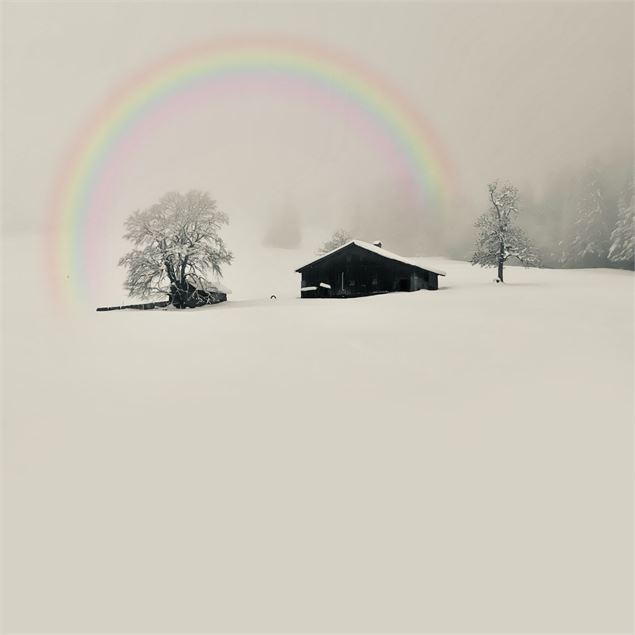 Exposition - Visite Atelier Adrianna MJW_Demi-Quartier - Adrianna MJW