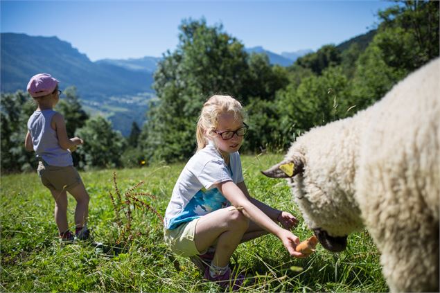 La ferme des Belines - Le Désert d'Entremont - Nadège Charquet