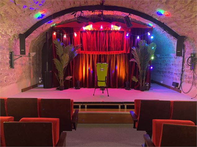 Guignol Rhône Alpes et Rio le majestueux perroquet - Rr