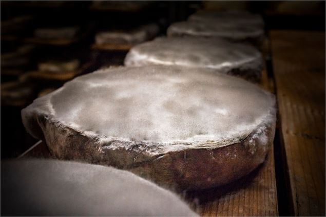 Dégustation de fromages sur le domaine skiable_Aillon-le-Jeune - @ de beaux lents demains