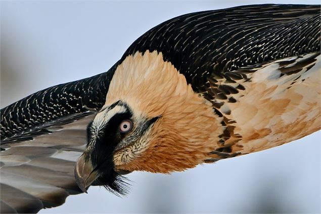 Cinécimes : Regards croisés