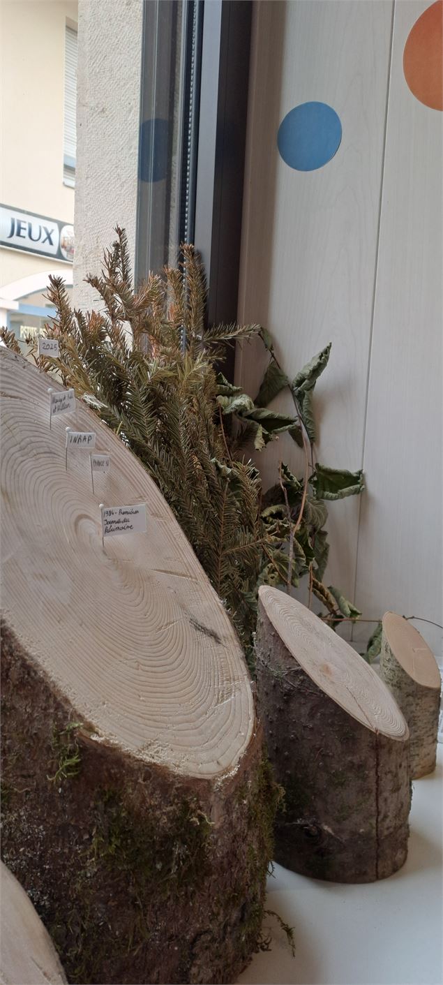 Apéro’Archéo : Du bois et des hommes_Izernore - @Musée Archéologique d'Izernore