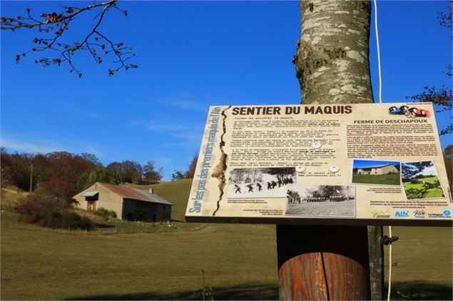 HistoireS de RésistanceS : randonnée commentée du sentier du Maquis, sur le Plateau de Retord - OTBS