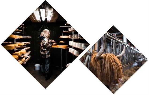 Photo portrait - Rencontre à la ferme - Yann Allègre