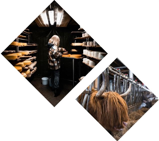 Photo paysage - Rencontre à la ferme - Yann Allègre