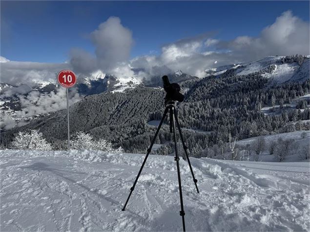 Animation nature Grand Massif Domaine Skiable_Morillon - HGT