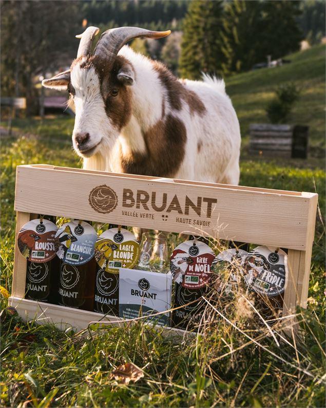 Visite de Brasserie_Burdignin - Brasserie le Bruant