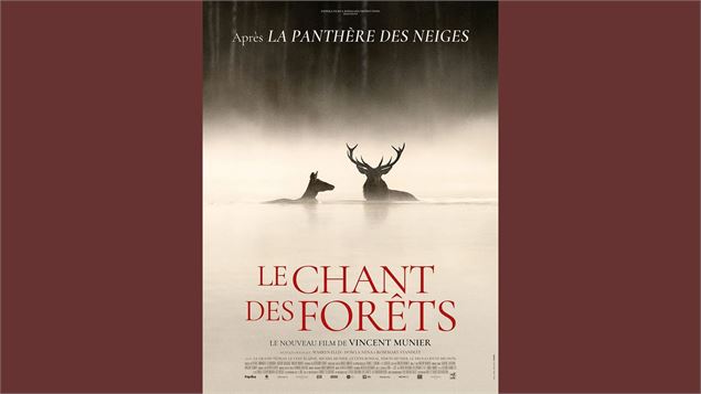 Cinéma « Le Chant des Forêts »_Les Houches