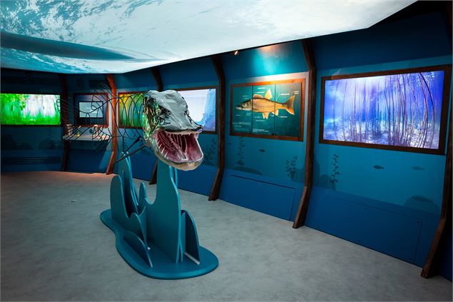 Aqualis, l'expérience lac_Aix-les-Bains - Gwenaelle GrandJean pour Aqualis