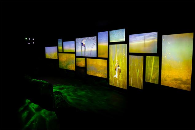 Aqualis, l'expérience lac_Aix-les-Bains - Gwenaelle GrandJean pour Aqualis