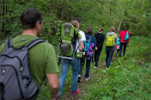 Ecomusée du Bois et de la Forêt- Scierie des Etouvières - Office de tourisme