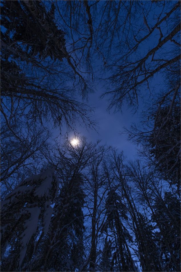 Balade nocturne - Emmanuel Dutordoir