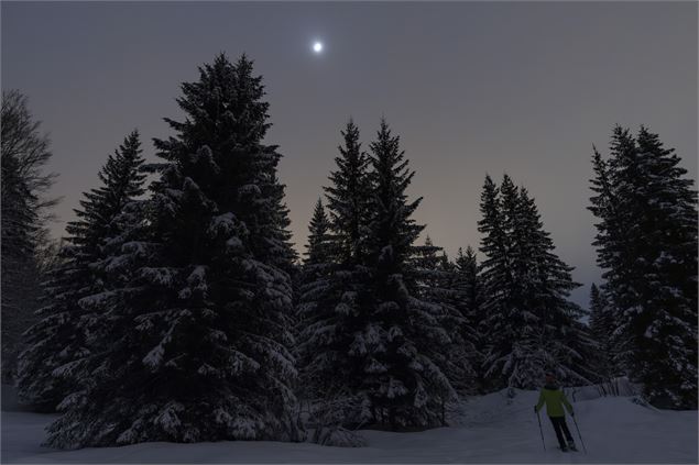 Balade nocturne - Emmanuel Dutordoir