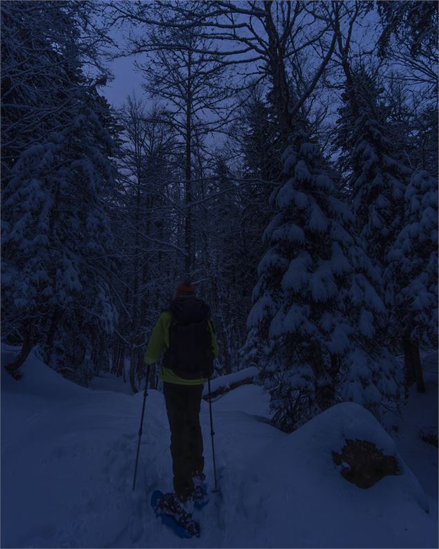 Balade nocturne - Emmanuel Dutordoir