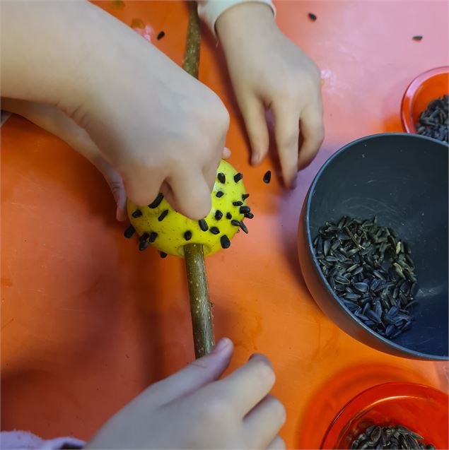 Atelier enfant : Les ornithologues en herbe_Bisanne 1500