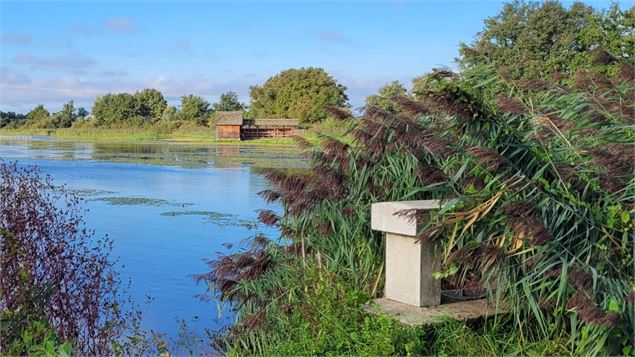 La Dombes se dessine - French Wanderers