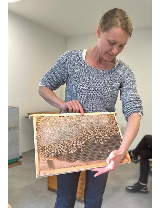 Instants découvertes - Vie de l'Abeille, travail de l'apiculteur - Laurent Neufcoeur