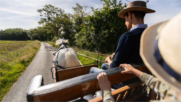Les étangs de la Dombes, le temps d'une visite en calèche_Sandrans - Jolies Lueurs