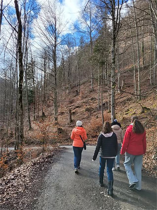 NOUVEAU | Balade Branchée_Abondance - Matthieu Trincaz