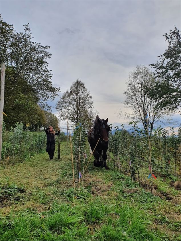 Visite de la pépinière_Saint-Pierre-de-Genebroz - L'arbre perché