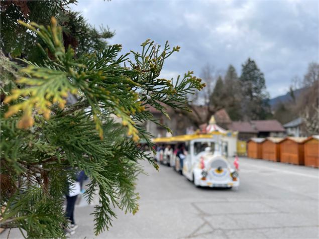 Septitrain : circuits commentés à bord du petit train de Samoëns_Samoëns - Isabelle Cadoux