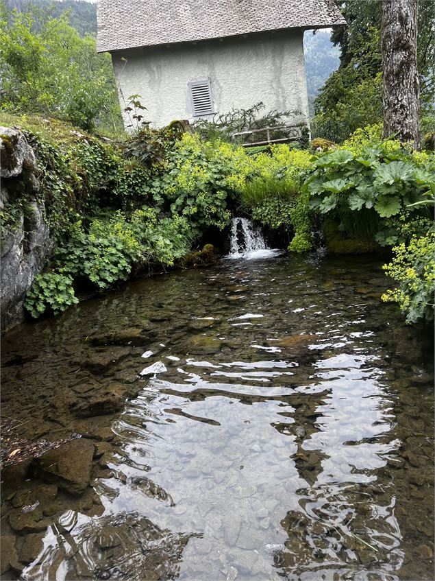 Jardin Botanique La Jaysinia - Visite Groupe - OTSamoens