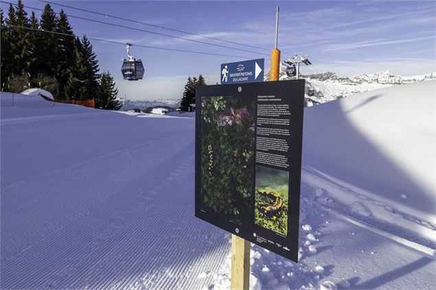 Expo photo au sommet du Lachat sur sentier piétons - Yannick Lenoir et Nicolas Gilormini pour la RNR