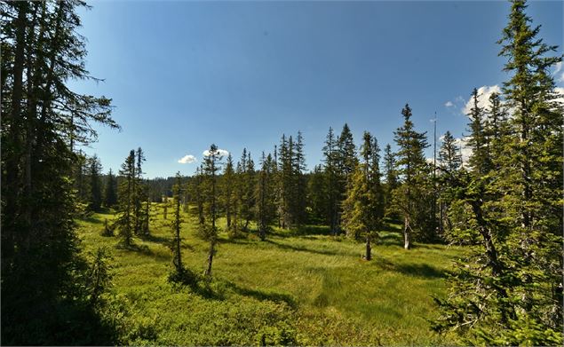 Arpelières - Yannick Lenoir et Nicolas Gilormini pour la RNR