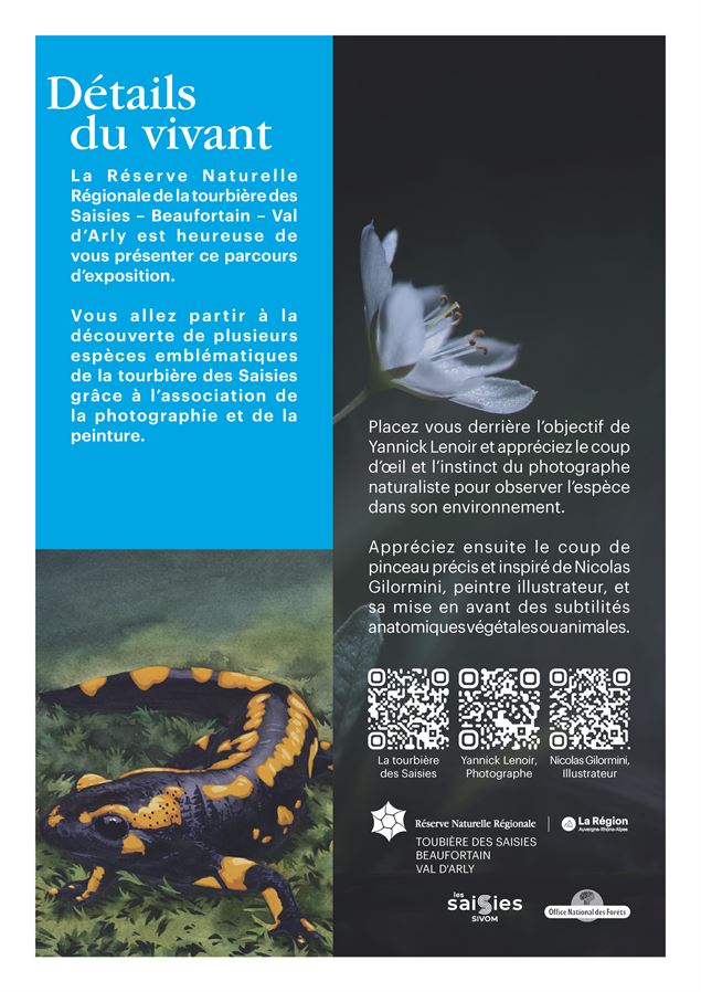 Visite de l'exposition Détail du vivant au Lachat_Crest-Voland - Yannick Lenoir et Nicolas Gilormini