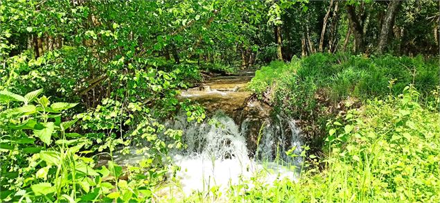 Ruisseau de Lhuis - K.Tranchina