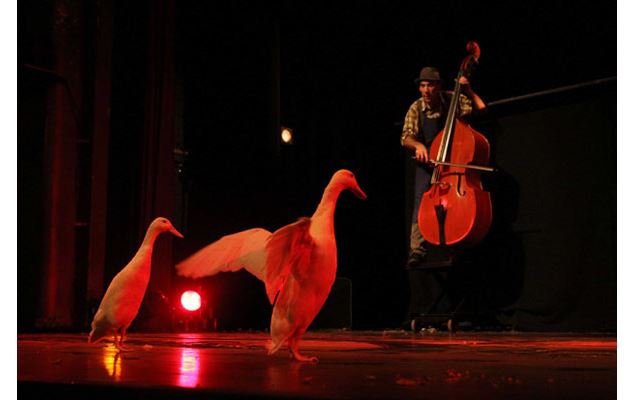 Spectacle enfant - Retour à la Terre - Cirque Filyfolia
