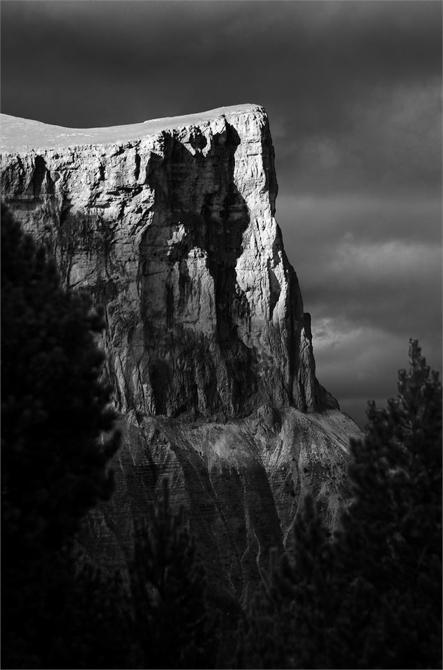 Les aiguilles - Nathalie Fosse