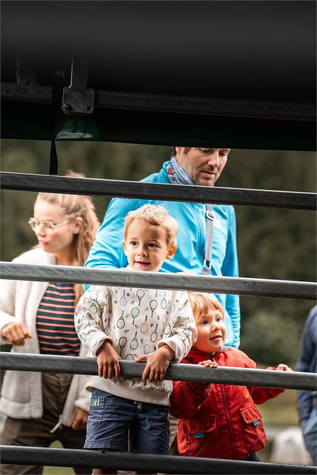 Visite, traite et soin des vaches