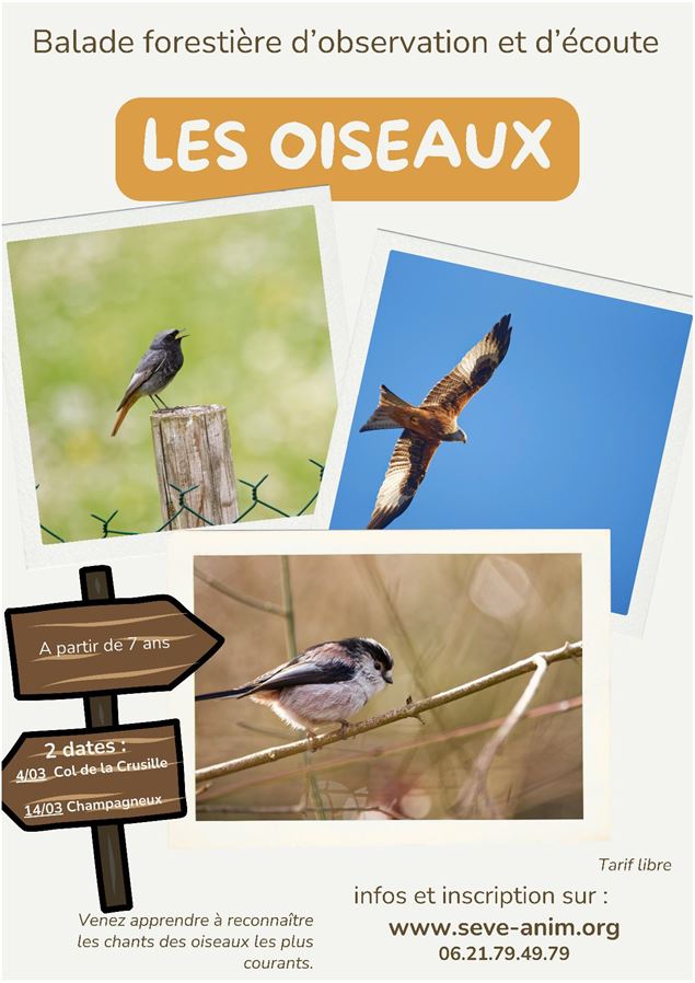Écouter et reconnaître les chants d'oiseaux - sebastien durlin