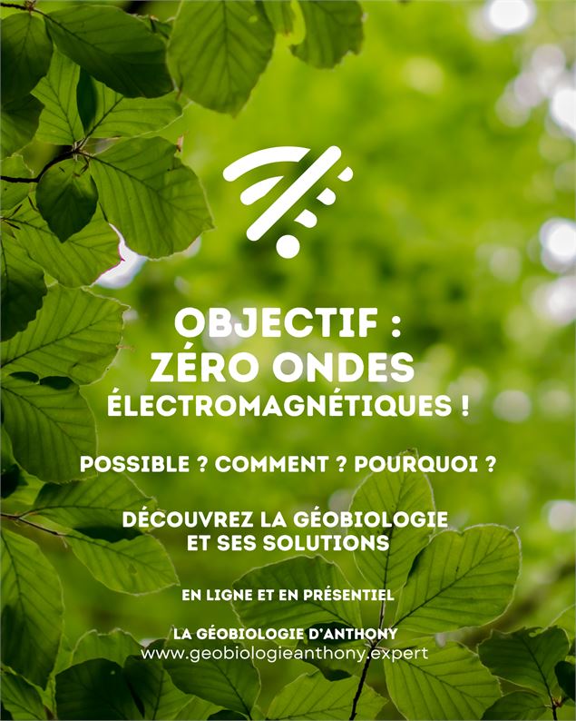 Formation en géobiologie - La géobiologie d'Anthony