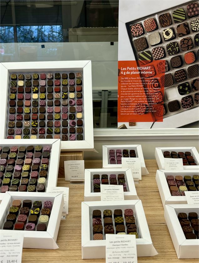 Visite de la Maison Richart_Saint-André-de-Corcy - Claire Curt