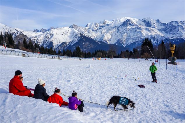 Entrainement chien d'avalanche - Atelier Mélicope