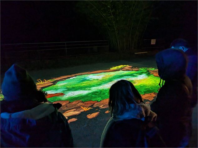 Les Nuits du Parc_Villars-les-Dombes - Claire Curt