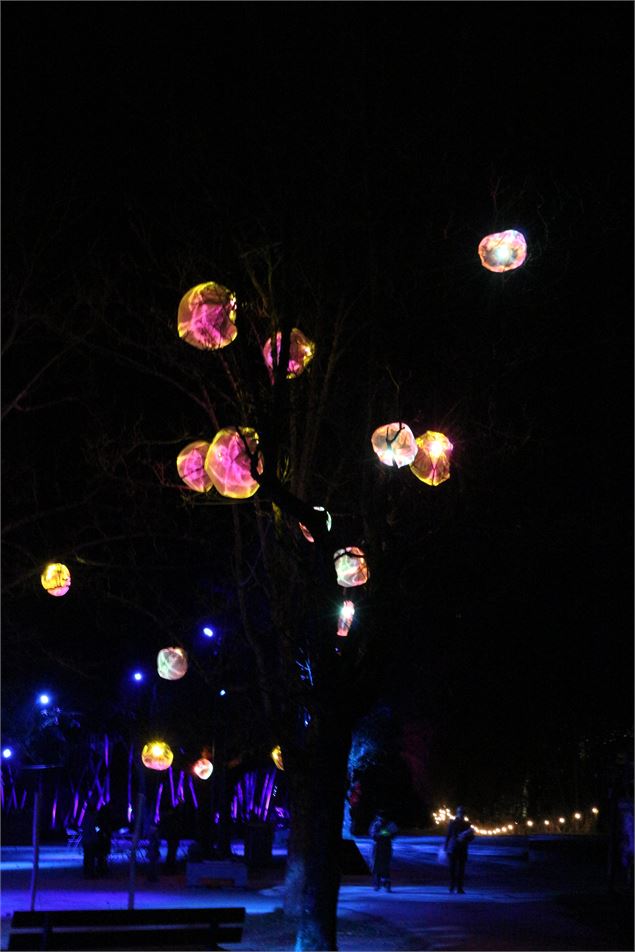 Les Nuits du Parc_Villars-les-Dombes - Claire Curt