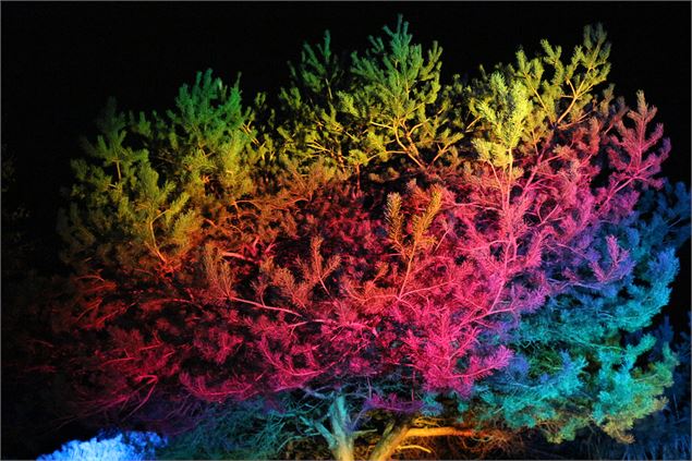 Les Nuits du Parc_Villars-les-Dombes - Claire Curt