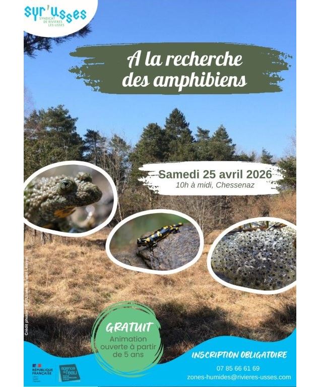 A la recherche des amphibiens_Chessenaz