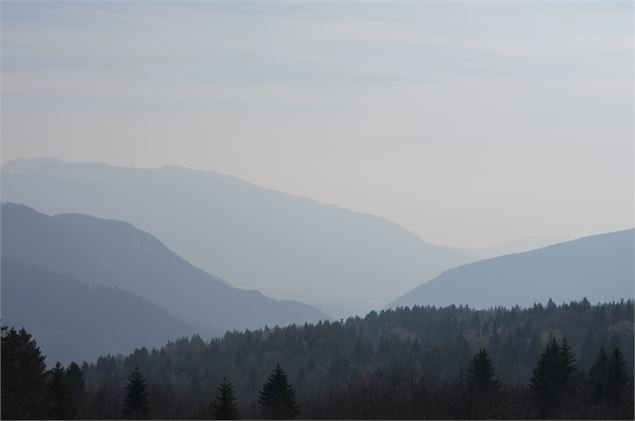 Vue depuis Dinoplagne - ©OT Terre Valserine